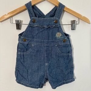 Carhartt Blue Denim Kids Overalls